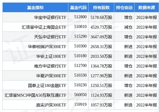 华宝油气基金最新净值深度解读及未来展望分析